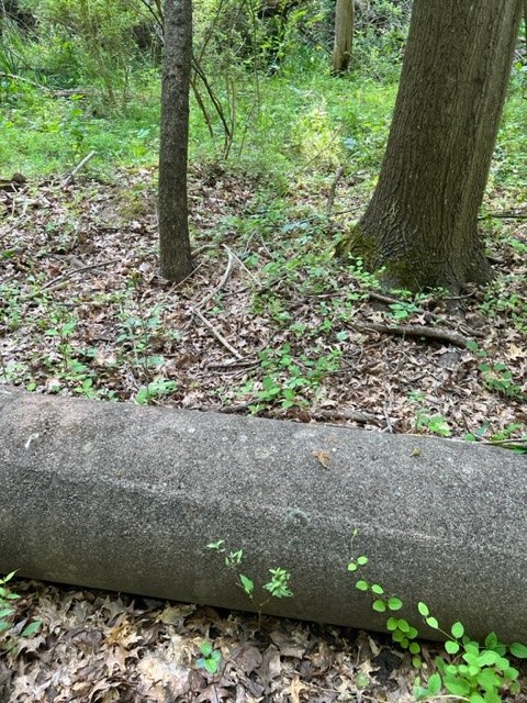 A weathered concrete cylindrical object lying among fallen leaves.