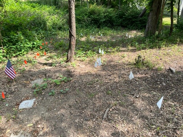 A newly cleared dirt area with small survey flags and an American flag.